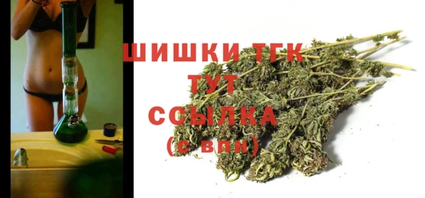 прущие крисы Белокуриха