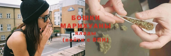 прущие крисы Белокуриха