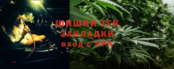 прущие крисы Белокуриха