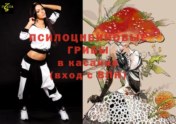 прущие крисы Белокуриха