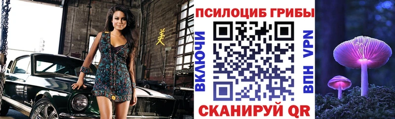 Купить  Асбест  Галлюциногенные грибы Cubensis 